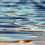 Close-up of serene water surface showcasing gentle ripples and warm reflections in natural light.