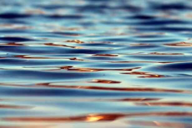 Close-up of serene water surface showcasing gentle ripples and warm reflections in natural light.