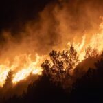 Intense wildfire consuming forest trees at night, creating a dramatic and dangerous scene.