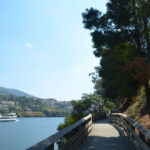 Castelo de Paiva DSC 0004 (54796485757)
