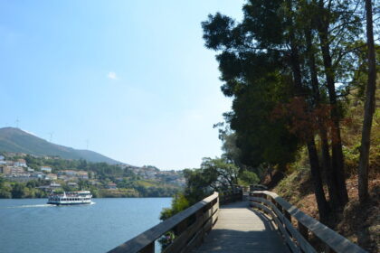 Castelo de Paiva DSC 0004 (54796485757)